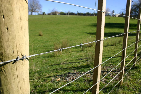 Barbed wire clearance nz